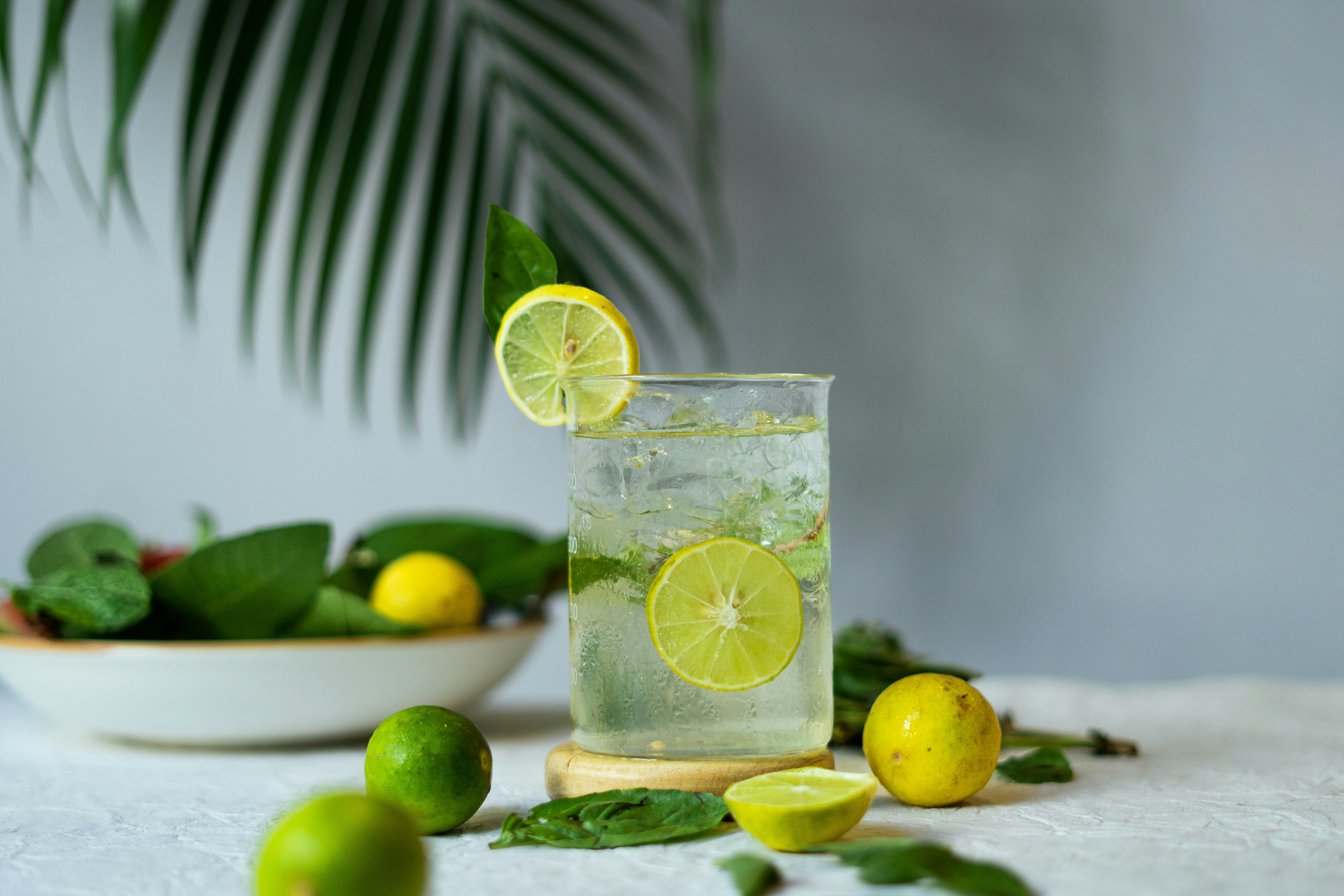 A glass of water with lemon on a kitchen counter