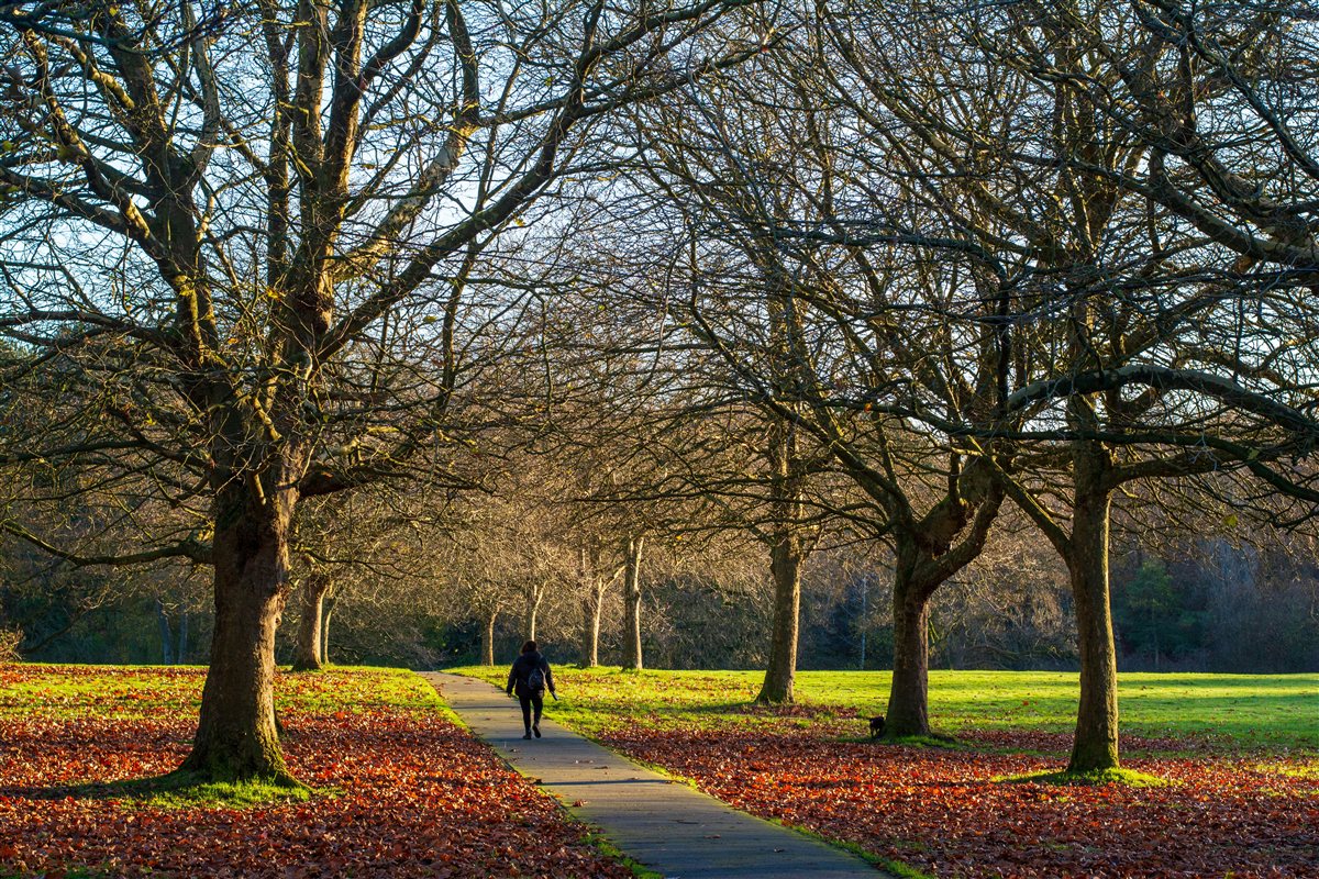 A person walking along a nature path